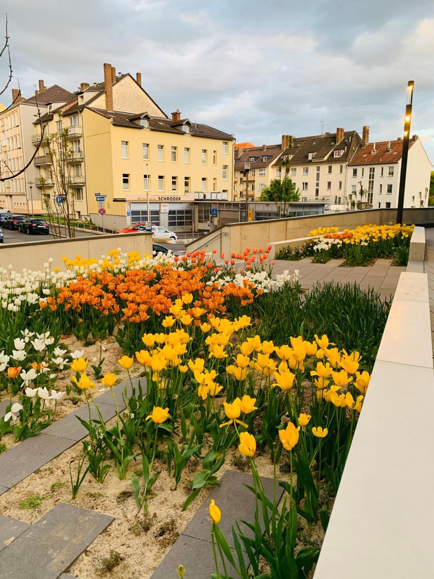 Stadtwohnung Mit Garten Кассель Экстерьер фото